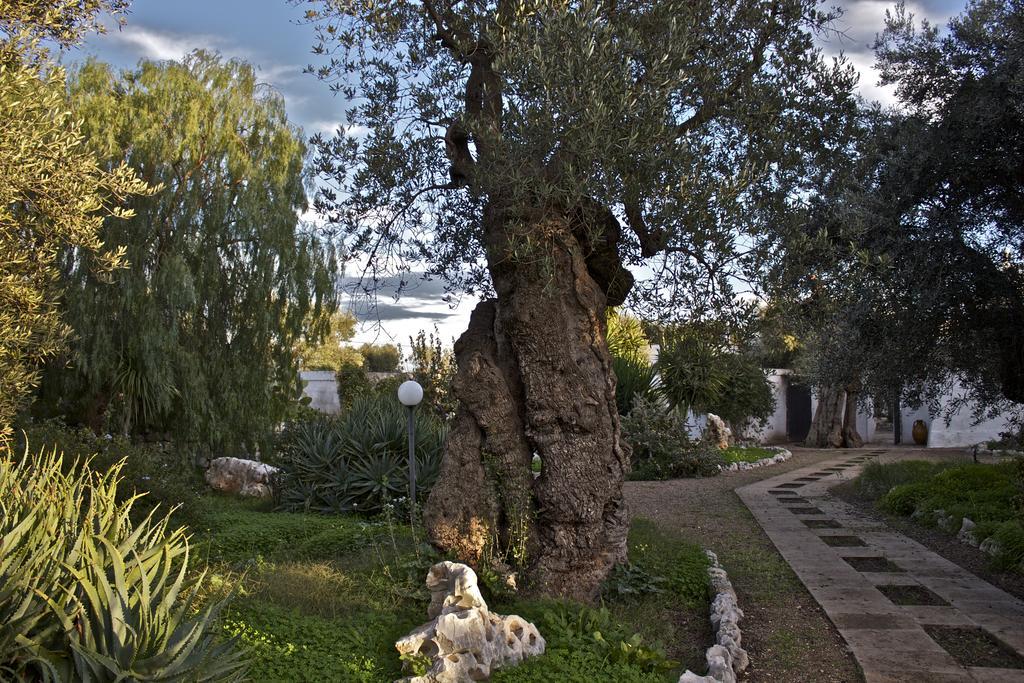 Masseria Vagone Macchia di Monte Exterior foto